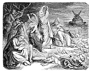 Biblical Genesis Flood and Noah Arc Floating on the Water.Bible, Old testament. Genesis,Vintage Antique Drawing