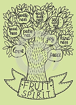 Biblical illustration from the new Testament fruit of the spirit.