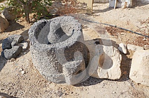 Biblical Tamar park, Arava, South Israel. Olive press