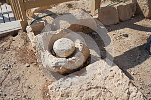 Biblical Tamar park, Arava, South Israel. Olive press