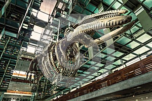 Biblioteca Vasconcelos