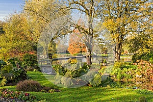 Bibury Trout Farm, Gloucestershire, England. photo