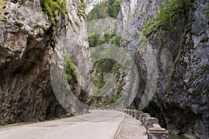 Bicaz canyon