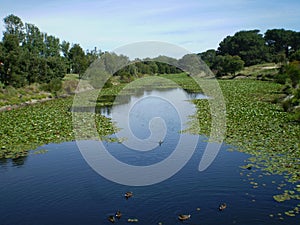 Bicentennial Park Sydney