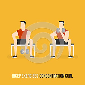 Bicep Exercises. Concentration Curl