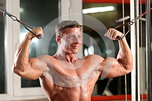 Biceps - overhead cable curl photo