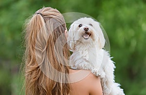 Bichon bolognese dog with beautiful in the park