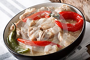 Bicol Express with red and green chili close-up in a bowl. horizontal