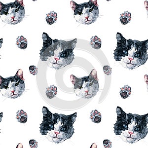 Bicolor black and white cat faces and paws seamless pattern. Watercolor painting on white background