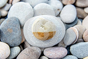 Bicolored Round Stone Centered Amongst Gray Pebbles