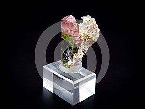 Bicolour tourmaline crystal mineral on black background