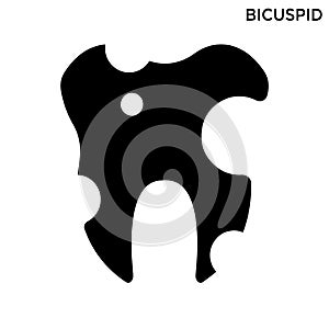 Bicuspid icon dentist concept white background