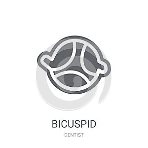 Bicuspid icon. Trendy Bicuspid logo concept on white background photo