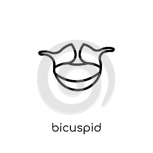 Bicuspid icon. Trendy modern flat linear vector Bicuspid icon on photo