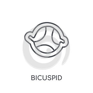 Bicuspid linear icon. Modern outline Bicuspid logo concept on wh photo