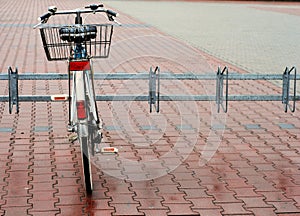 Bicycle