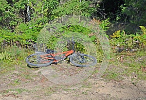 Bicycle accident in forest