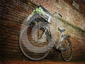 Bicycle against brick wall