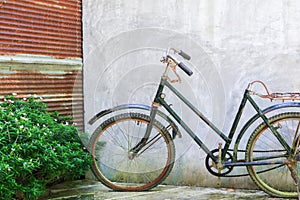 Bicycle Antique Broken Old and rust