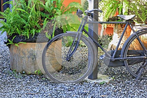 Bicycle Antique Broken Old and rust