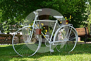 Bicycle as decorative with flower arrangements