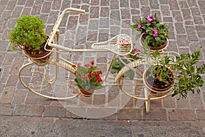 Bicycle as a flower stand