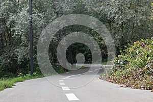 Bicycle asphalt road curve in green city park