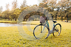 Bicycle in autumn park. Sport and activity concept. Relax and activity concept. Leisure and nature theme. Yellow tone theme