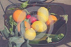 Bicycle basket filled with fresh fruits and vegetables from marketplace.