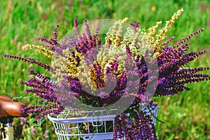 Bicycle basket handlebar flowers