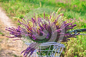 Bicycle basket handlebar flowers