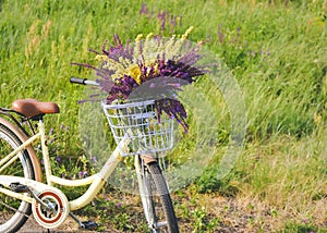 Bicycle basket handlebar flowers