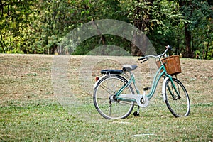 Bicycle or bike in the park