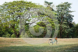 Bicycle or bike in the park