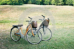 Bicycle or bike in the park