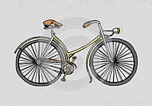 Bicycle, bike or velocipede. travel illustration. engraved hand drawn in old sketch style, vintage transport.