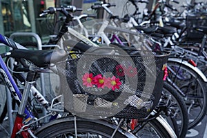Bicycle with black metal wire basket decorated with red plastic flowers.