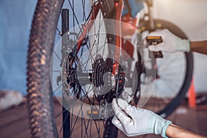Bicycle care, Mechanic is fixing mountain bike