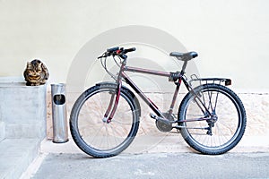 Bicycle and a cat leaning against a gray wall with copy space. Side view.