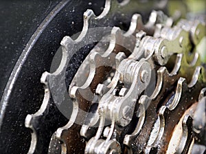 Bicycle chain and freewheel gears photo