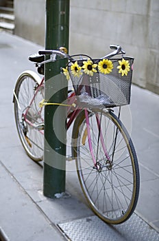 Bicycle chained to pole photo