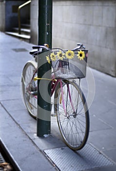 Bicycle chained to pole photo