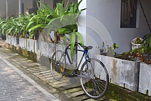 Bicycle on the city street photo