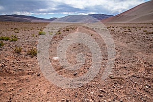 Bicycle dirt road footprints