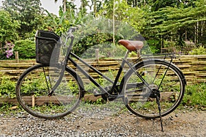 Bicycle on a dirt road in the garden.