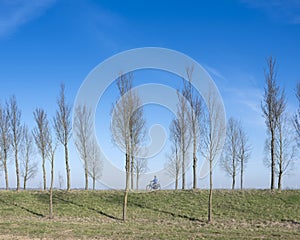 bicycle on dyke early spring in the netherlands on the island of goeree en overflakkee