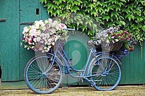 Bicycle with flowers photo