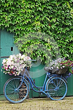 Bicycle with flowers