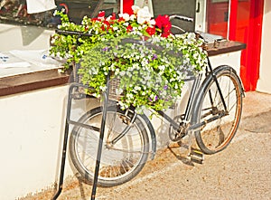 Bicycle with flowers