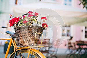 Bicycle with flowers